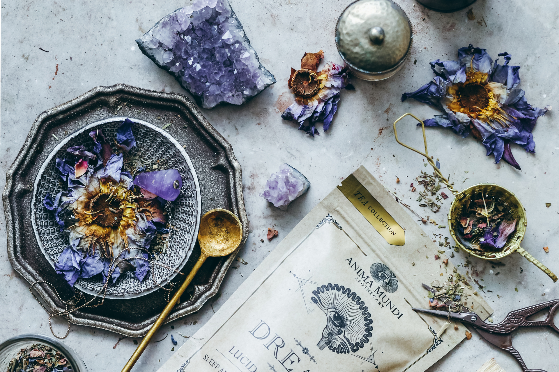 Various organic and wildcrafted botanicals arranged in an apothecary setting.