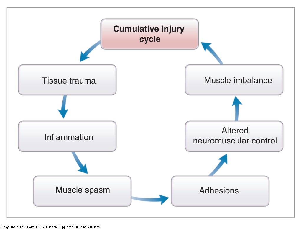Diagram of the Cumulative Injury Cycle showing inflammation, muscle spasm, and soft tissue adhesions