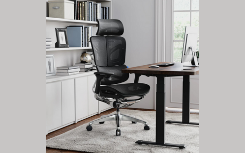 An ergonomic office chair with a split butterfly backrest designed for lumbar support.