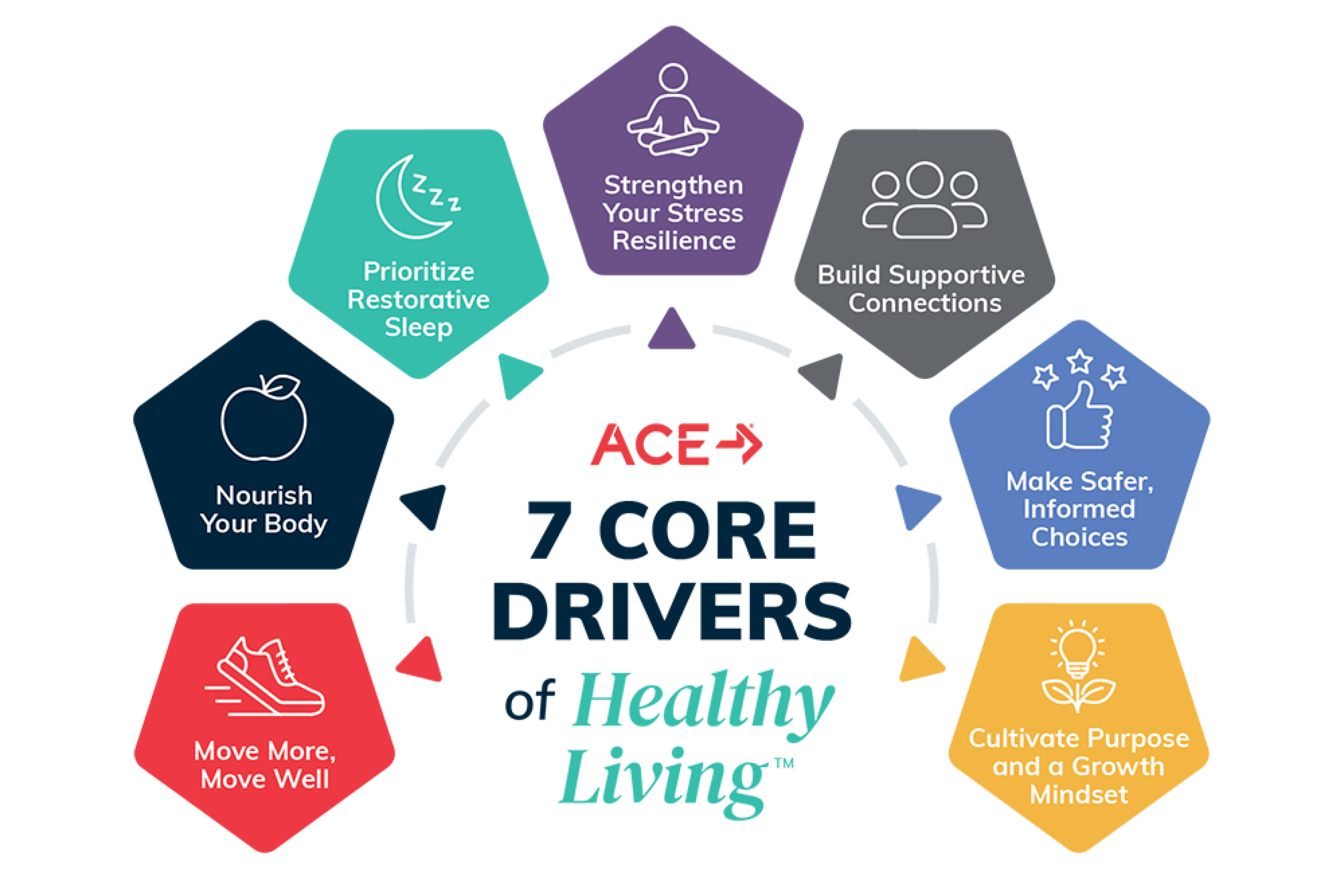 Infographic showing the ACE 7 Core Drivers of Healthy Living including sleep, movement, and nutrition.