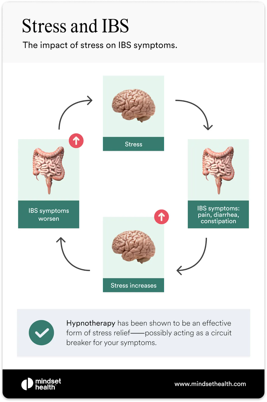 Illustration showing a circular feedback loop between brain anxiety and gut distress.