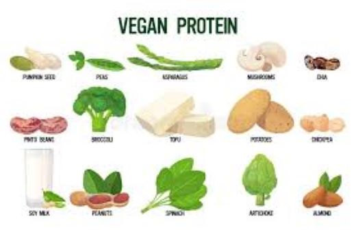 Illustration of various vegan protein sources including almonds, beans, and tofu.