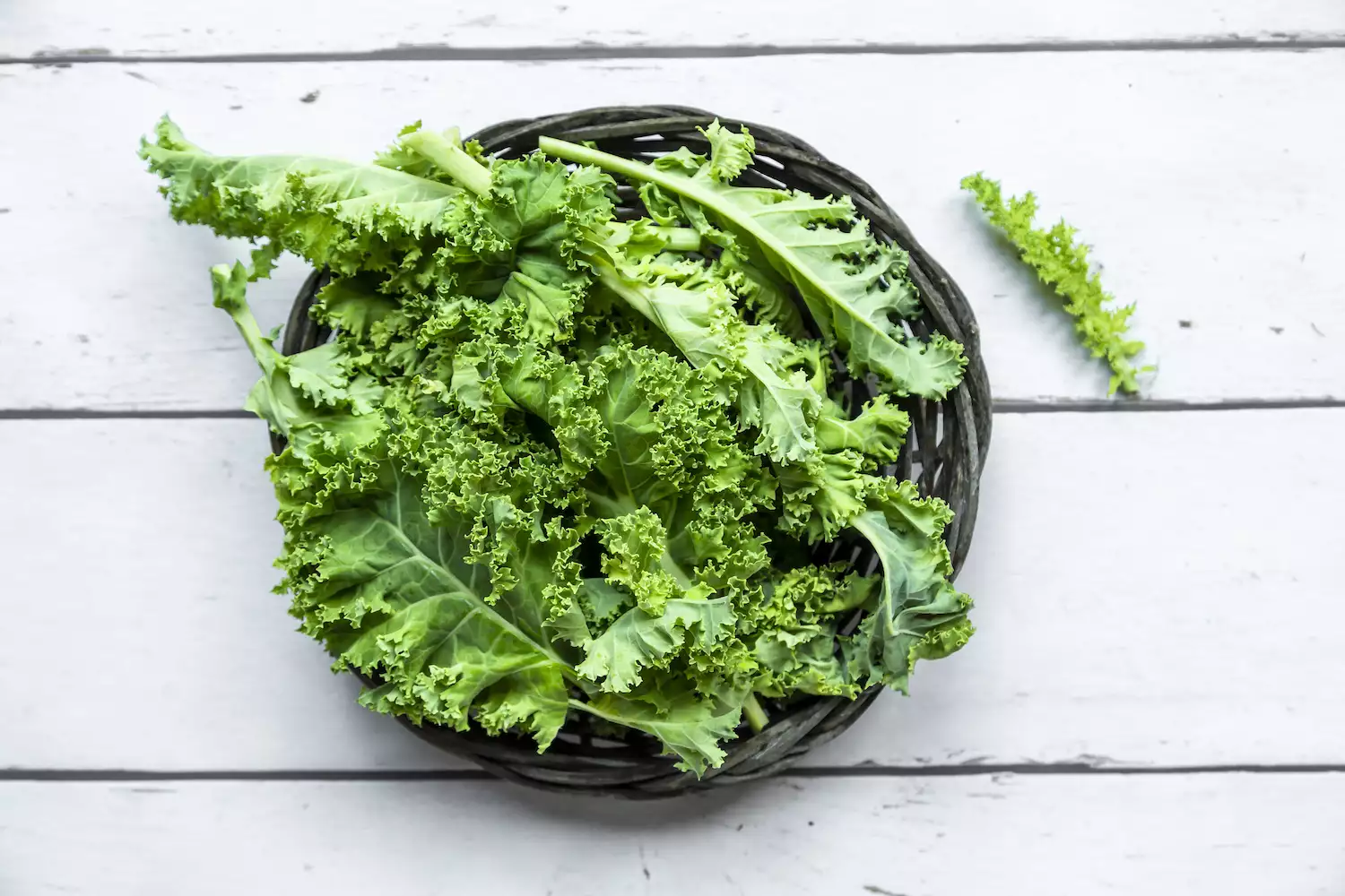 Ruffled green kale leaves showcasing fresh produce used in the Wahls Diet.