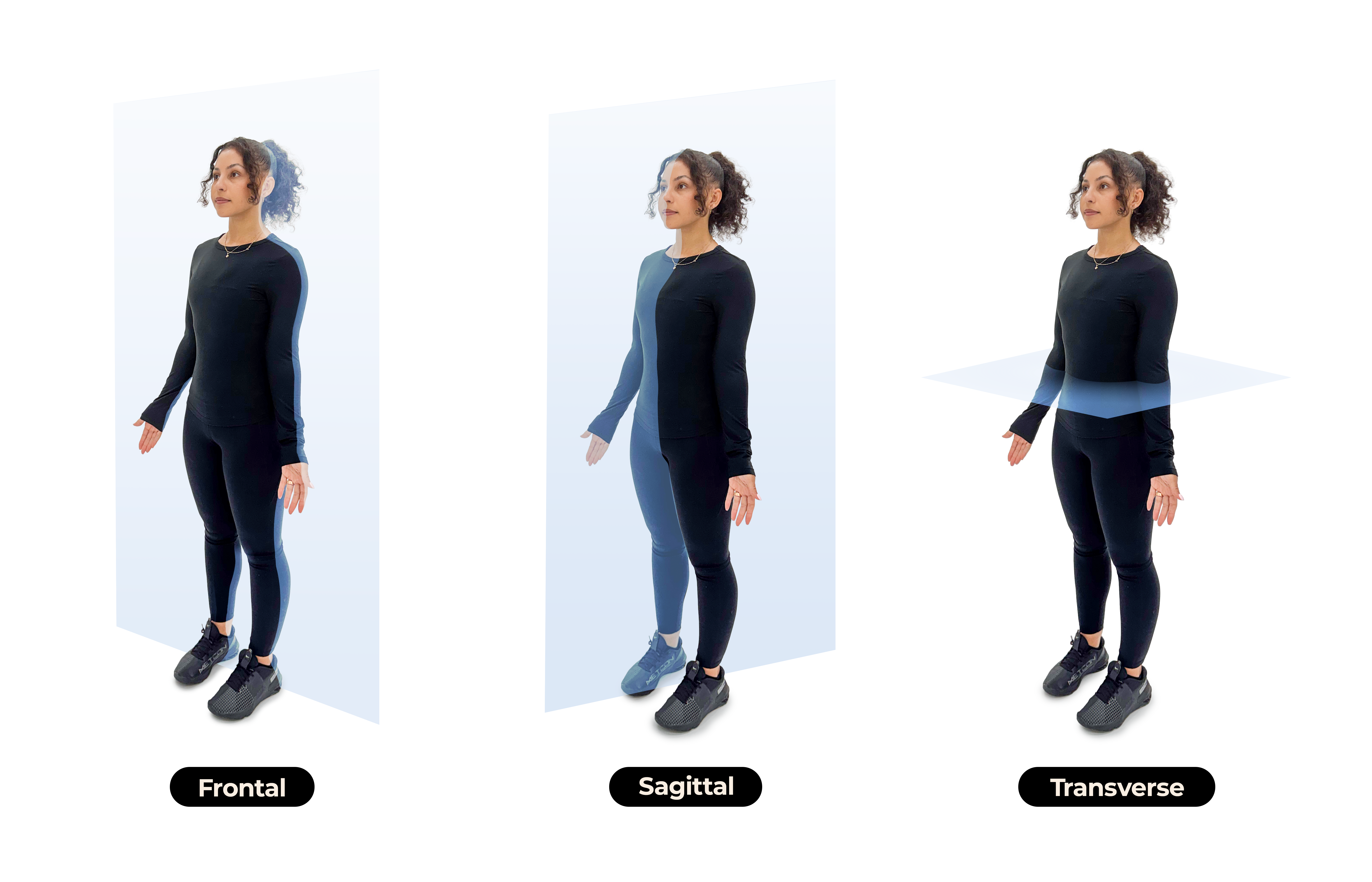 Master Anatomical Planes for Better Movement