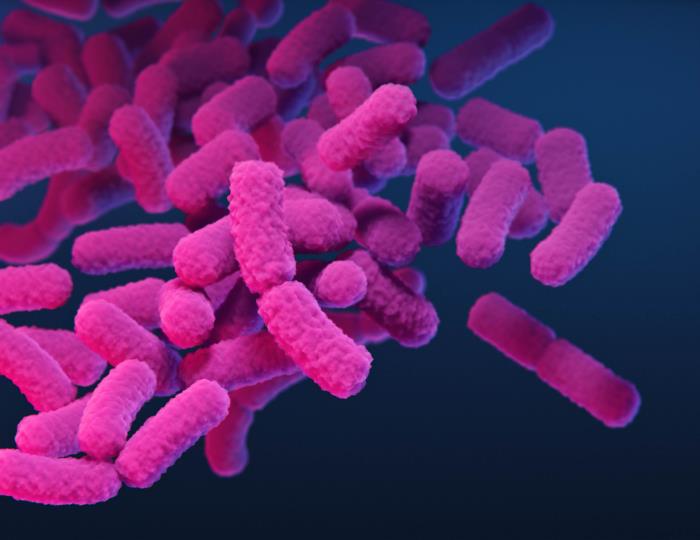 A detailed 3D medical illustration of the H5N1 avian influenza virus particle.