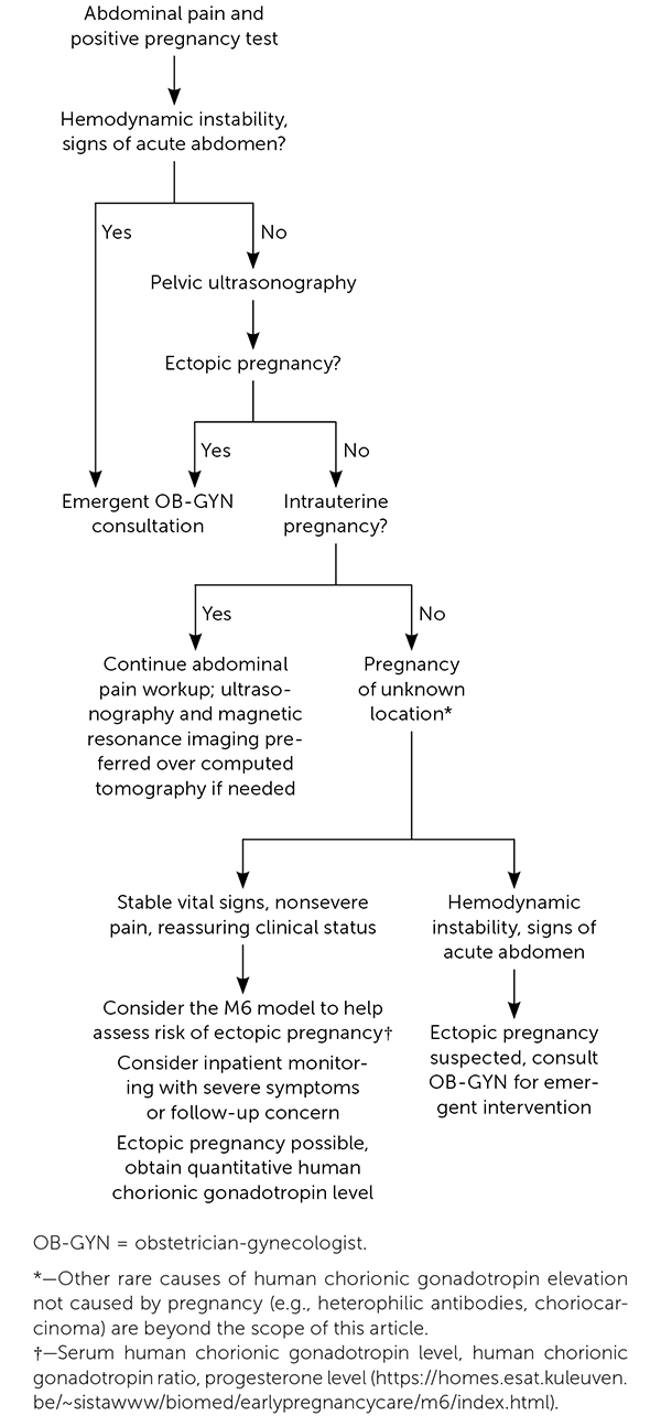 A medical diagnostic algorithm for evaluating acute abdominal pain specifically in pregnant patients.