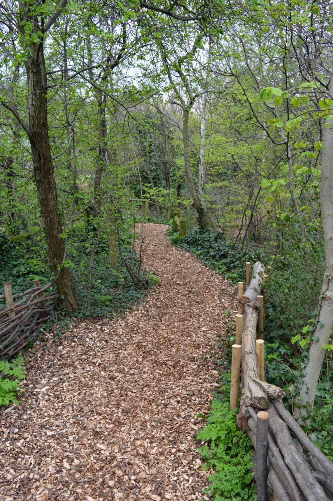 Dense wild plants and natural habitat at Camley Street Natural Park.