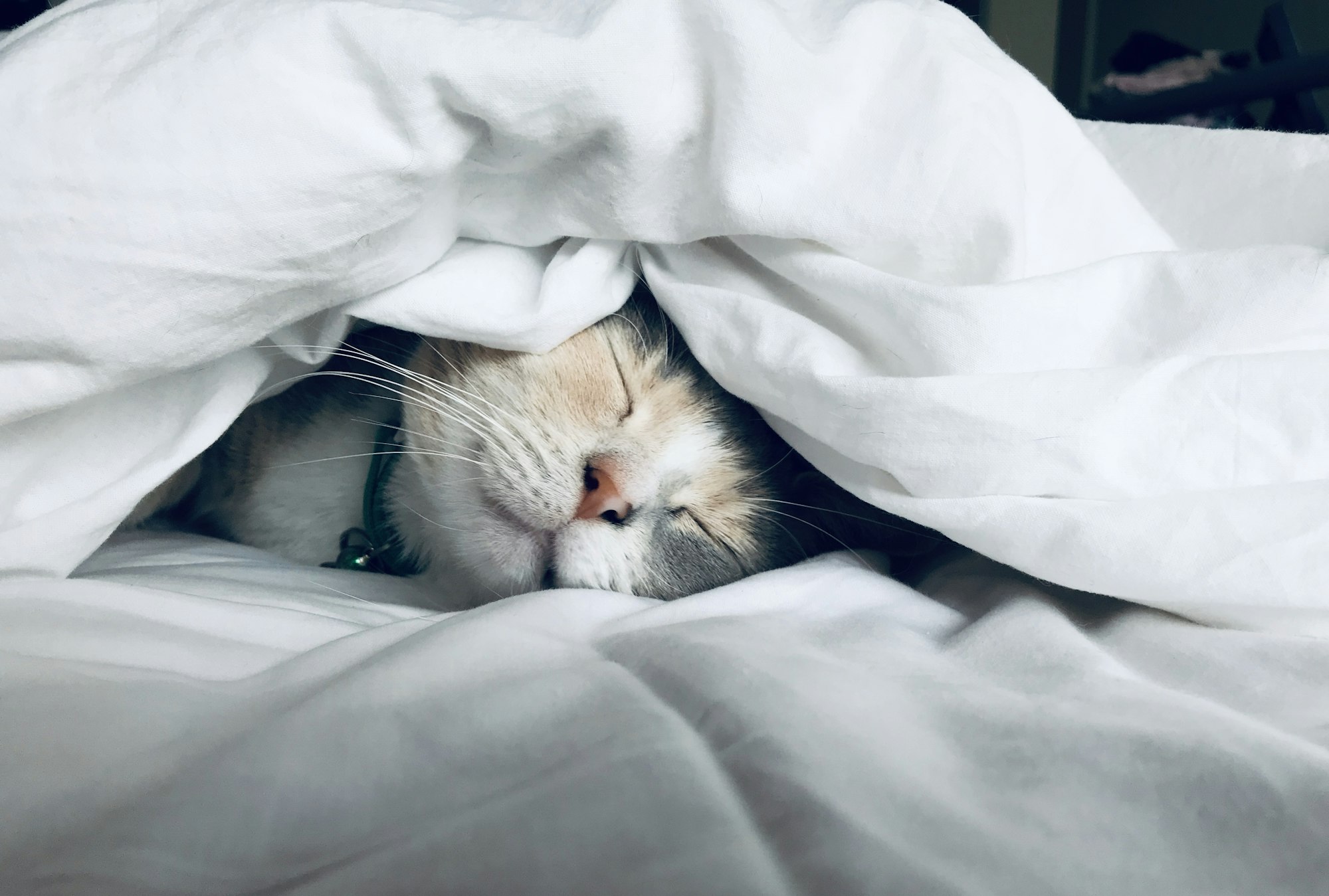 Understanding the Stages of Insomnia: From Acute to Chronic