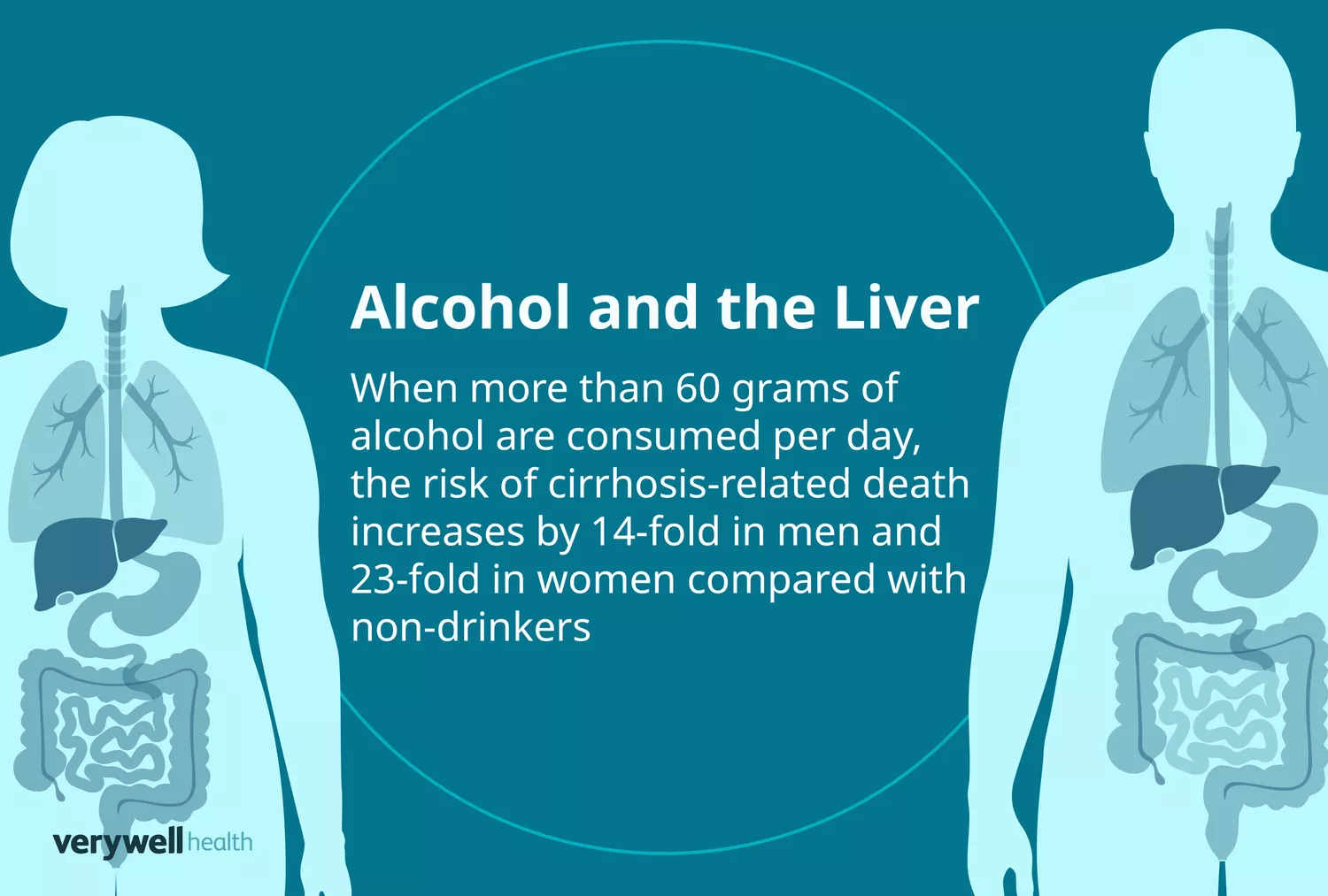 Medical illustration of a male and female figure highlighting the location and scale of the human liver.