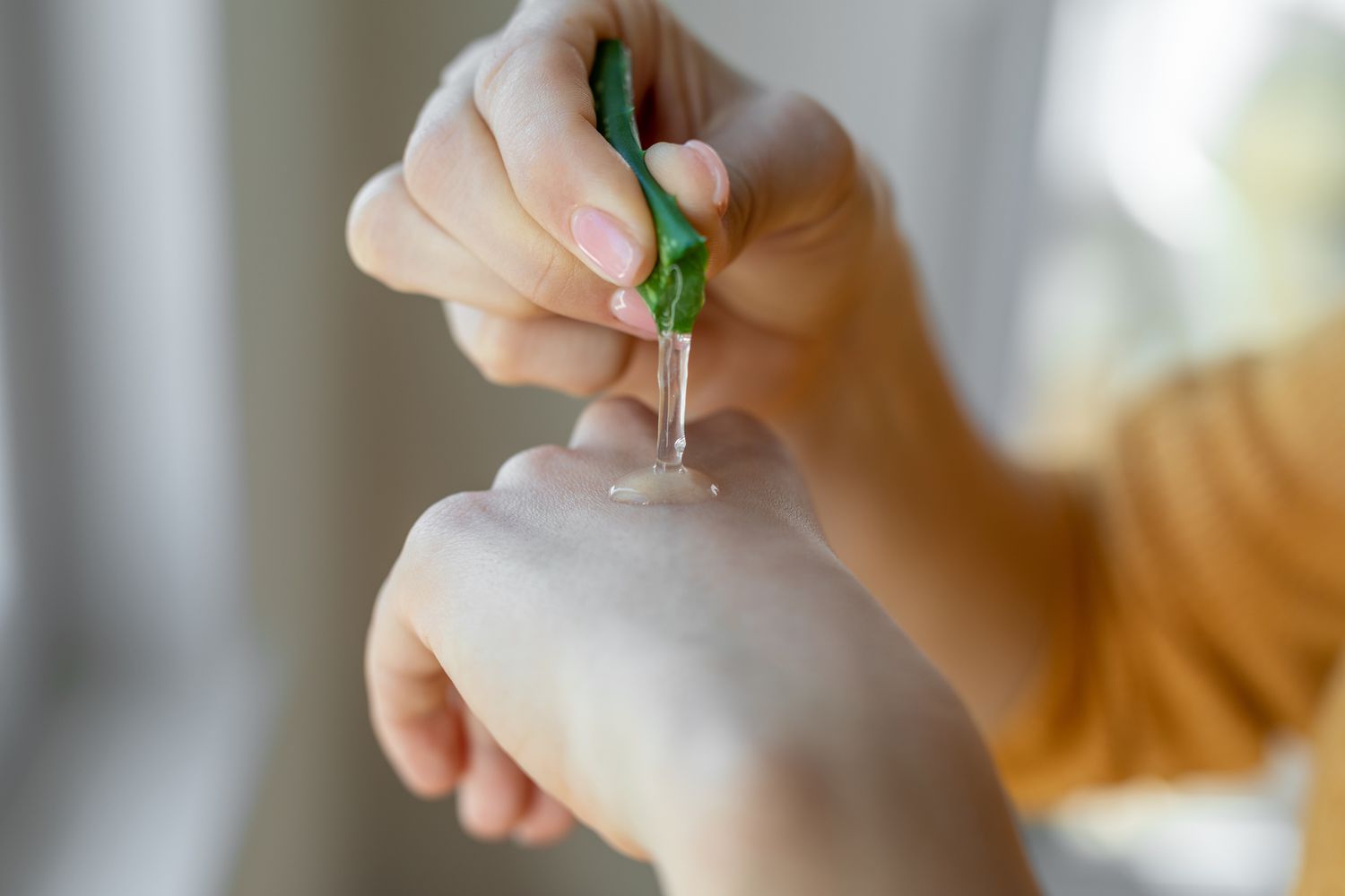 A person squeezing fresh aloe vera gel from a leaf onto their hand for skin soothing.