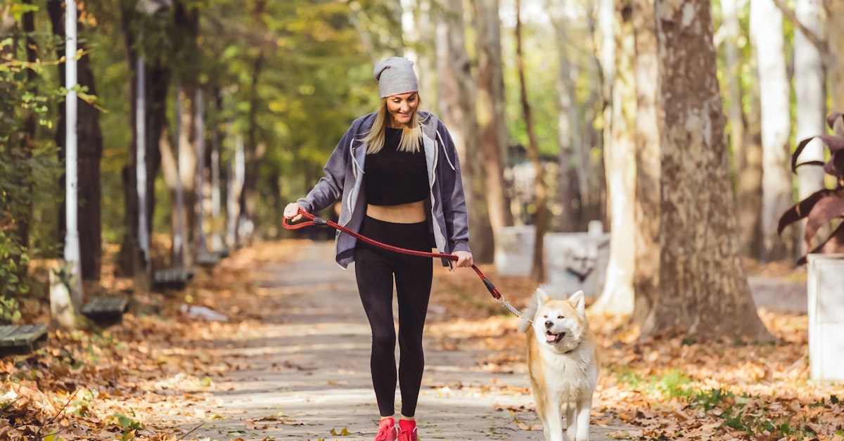 Probiotic Timeline: When to Expect Real Results